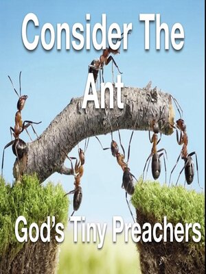 cover image of Consider the Ant--God's Tiny Preachers